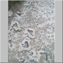 100_0850 (2009-27-07).JPG